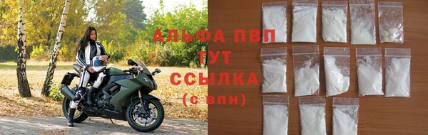 гашик Беломорск