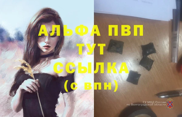 гашик Беломорск