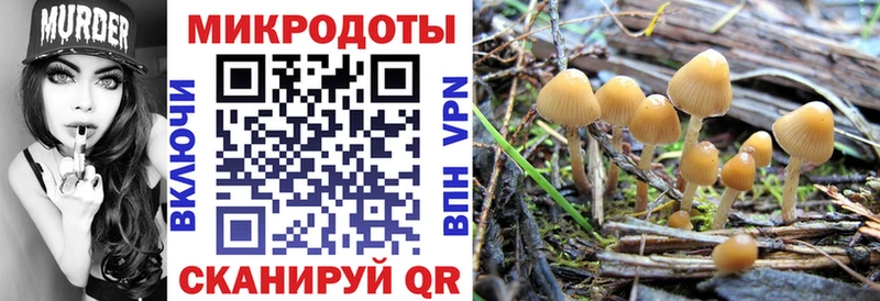 гидра как войти  Горнозаводск  Галлюциногенные грибы Cubensis 